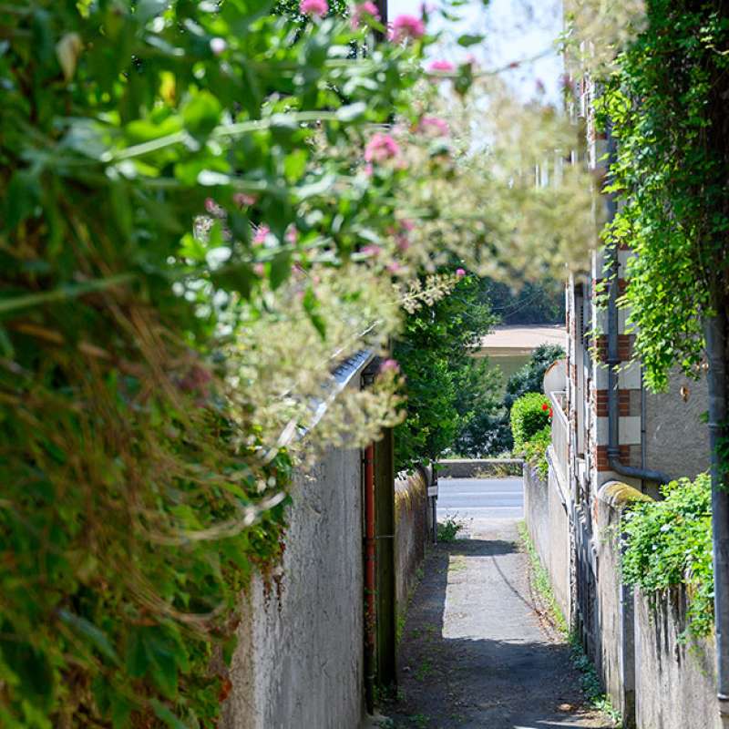 Rochecorbon maison Semi-Troglodyte "Sentier des Patys"