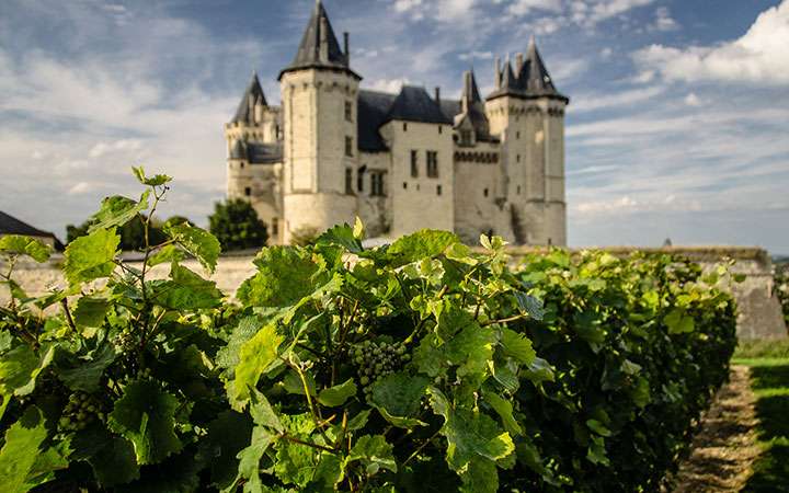 Château de la Loire