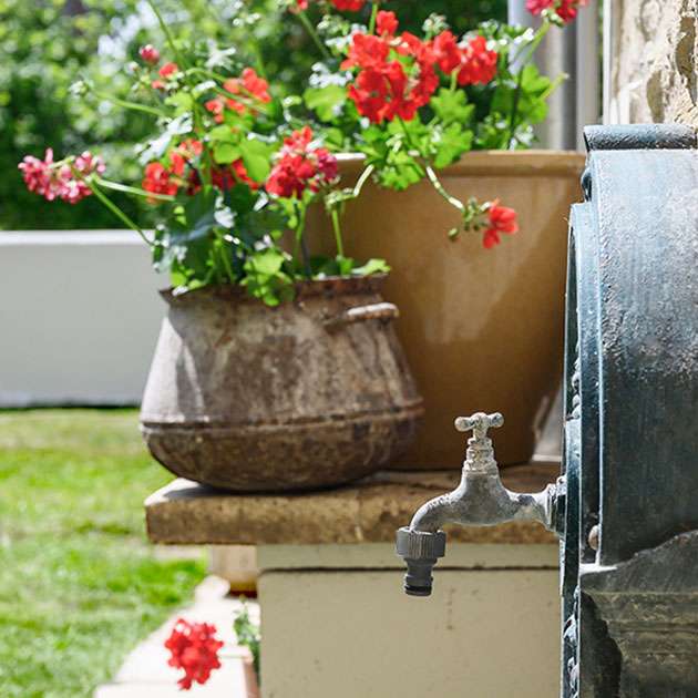 Rochecorbon maison Semi-Troglodyte - jardin zoom fontaine