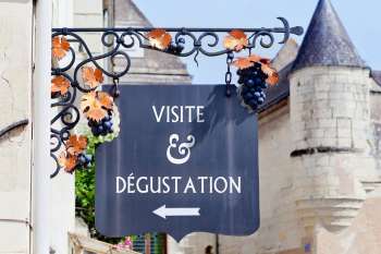 Holiday rental in Touraine - Wine tasting