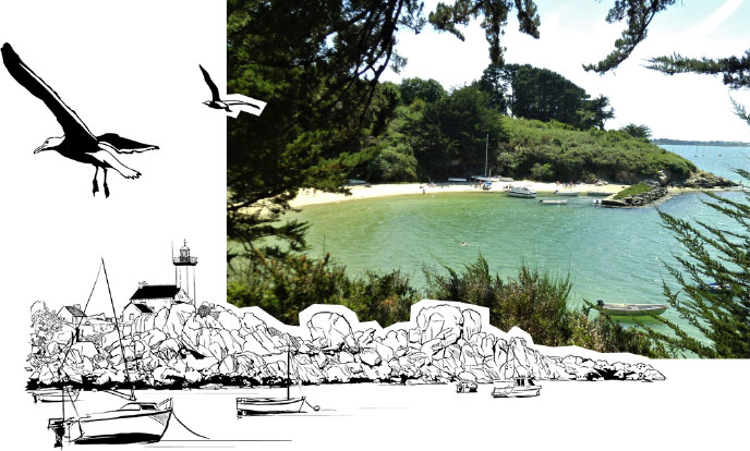 Un Trésor au Cœur du Golfe du Morbihan